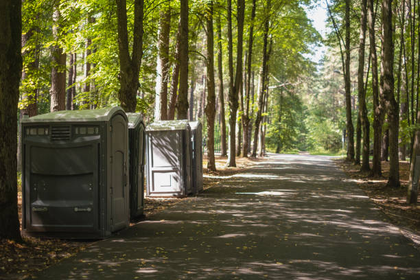 Best Affordable portable toilet rental  in King Arthur Park, MT